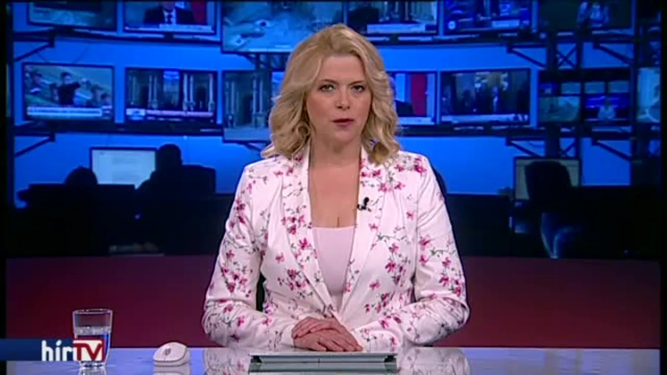 Tarlós lezárná a kameravitát