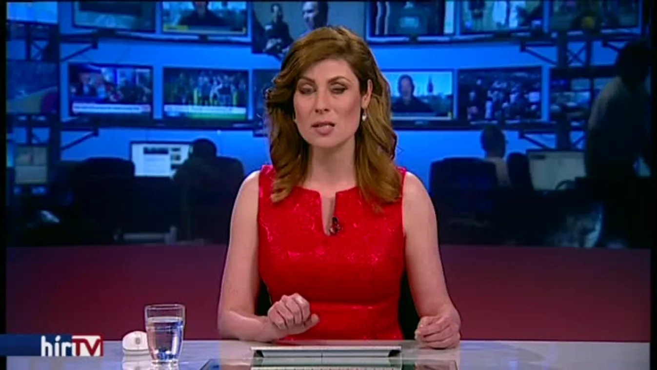 Nyomozás indult a gödi Topházban vizsgálódó civil szervezet ellen