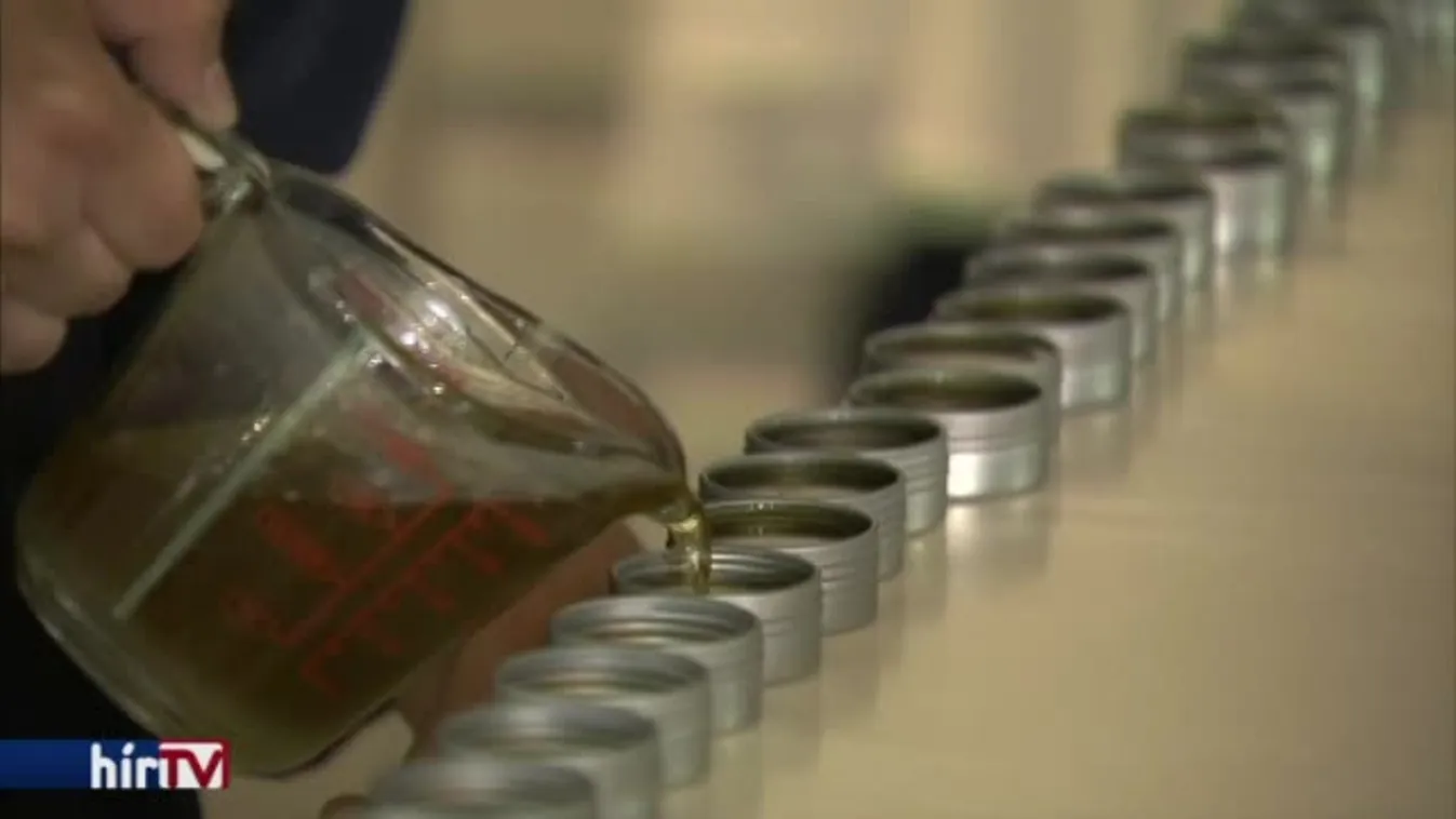 Felfedező - Lólét