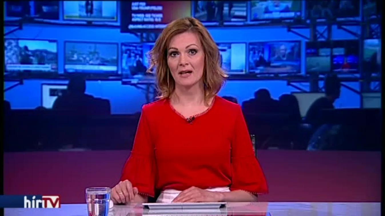 Repül a Fideszből, ha tényleg lopott