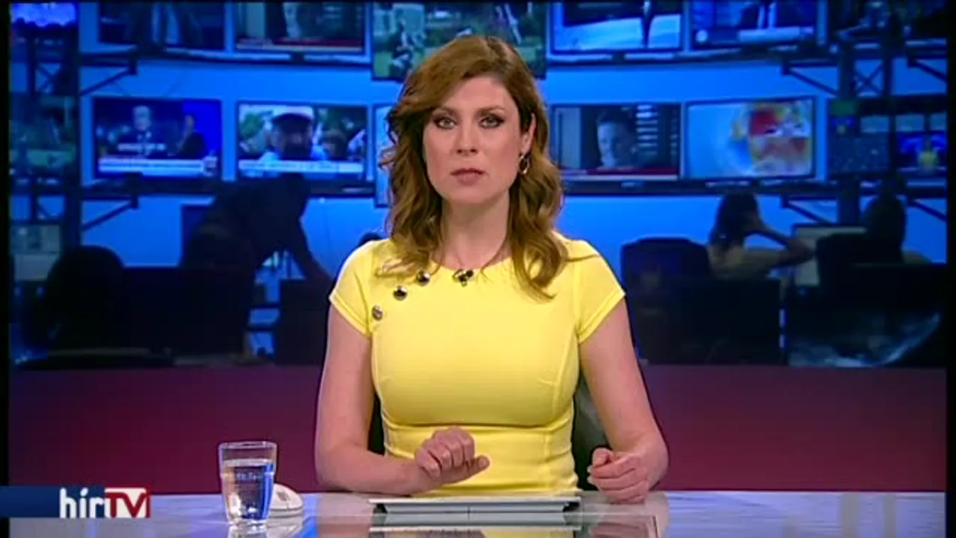 A Fidesz pártcsaládja is a hetes cikkely mellett