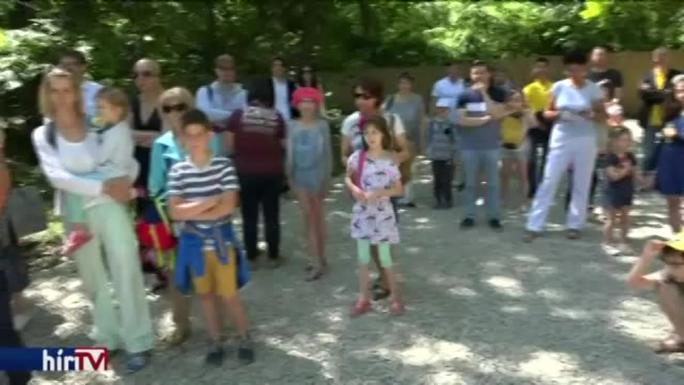 Különleges elefántház épül Szegeden