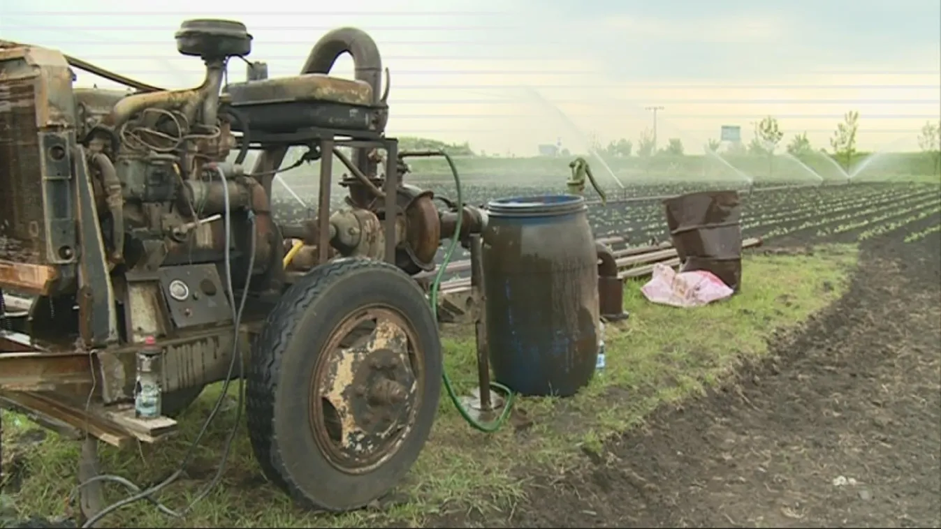 Szelídül a rendelet – Soroló