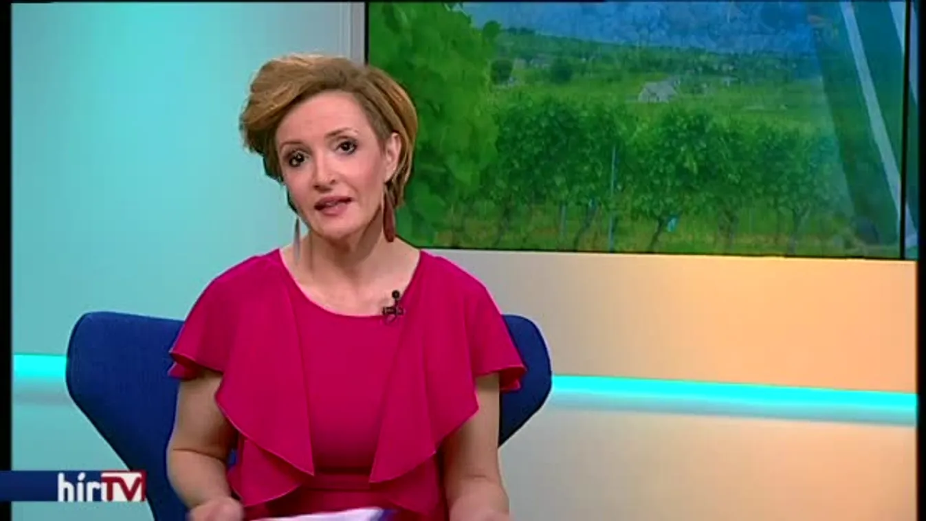 Reggeli járat - Étterem, borászat, szállás