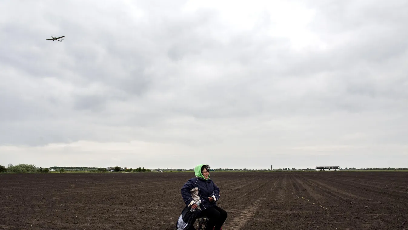 A madárhessegetők tízparancsolata