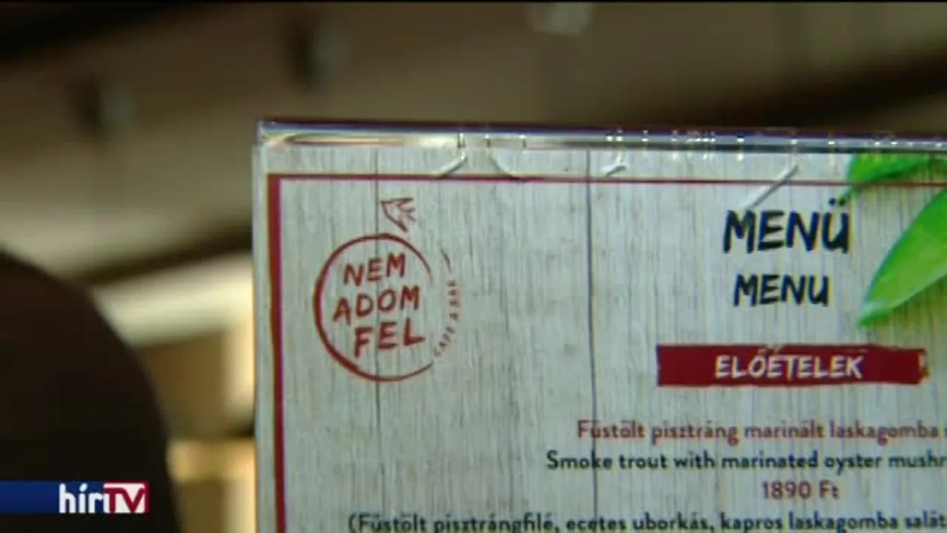 A felére csökkent a fogyatékkal élők bére