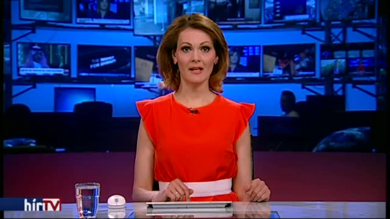 Sólyom: Nem volt felelősségre vonás