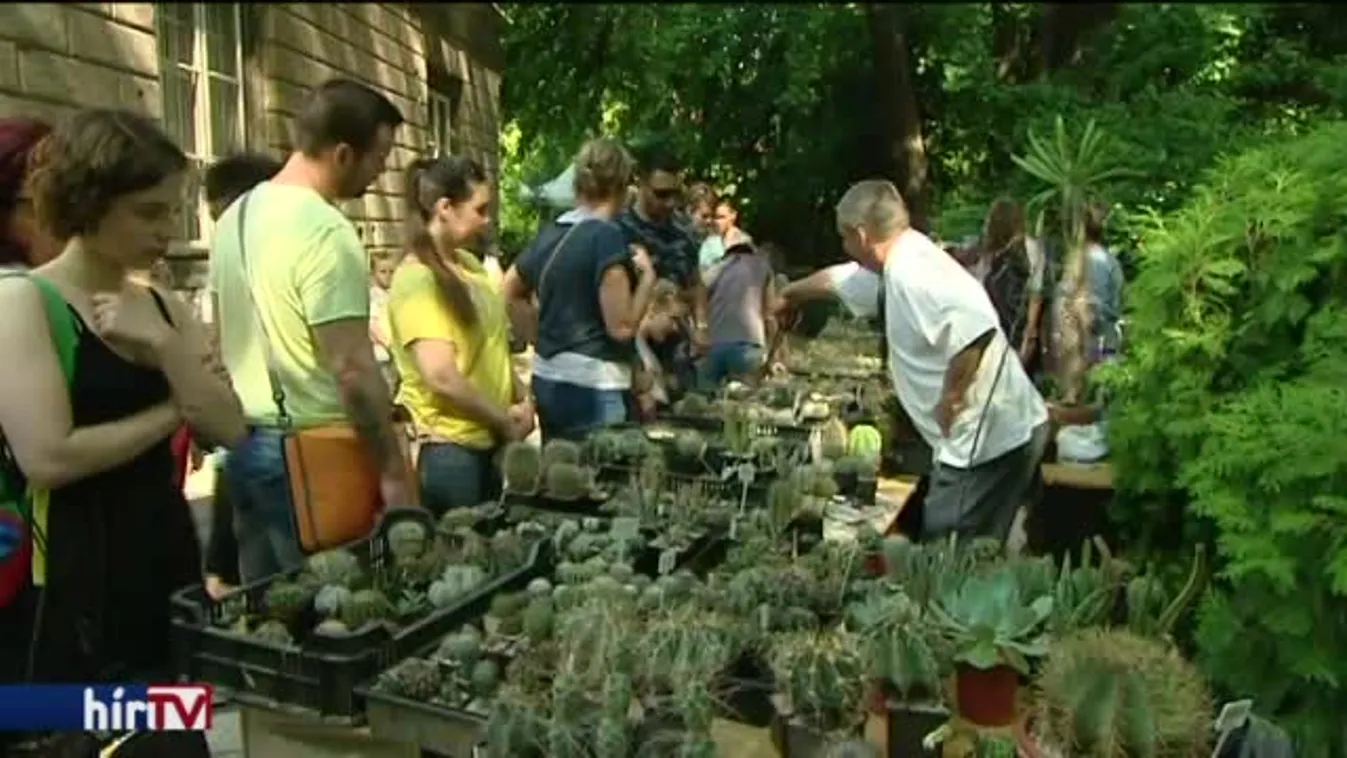 Virágzó sivatag a Füvészkertben