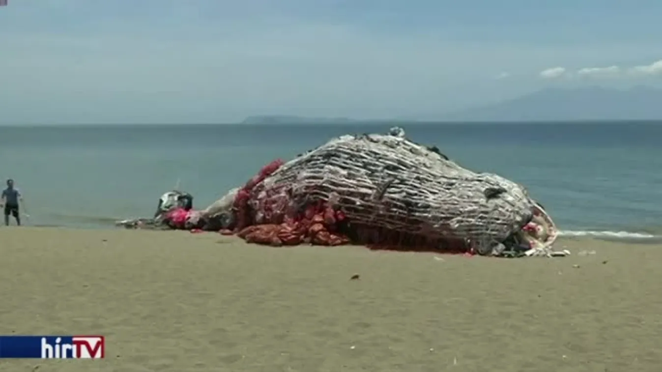 Greenpeace-akció: bálnaszobor szemétből a Fülöp-szigeteken