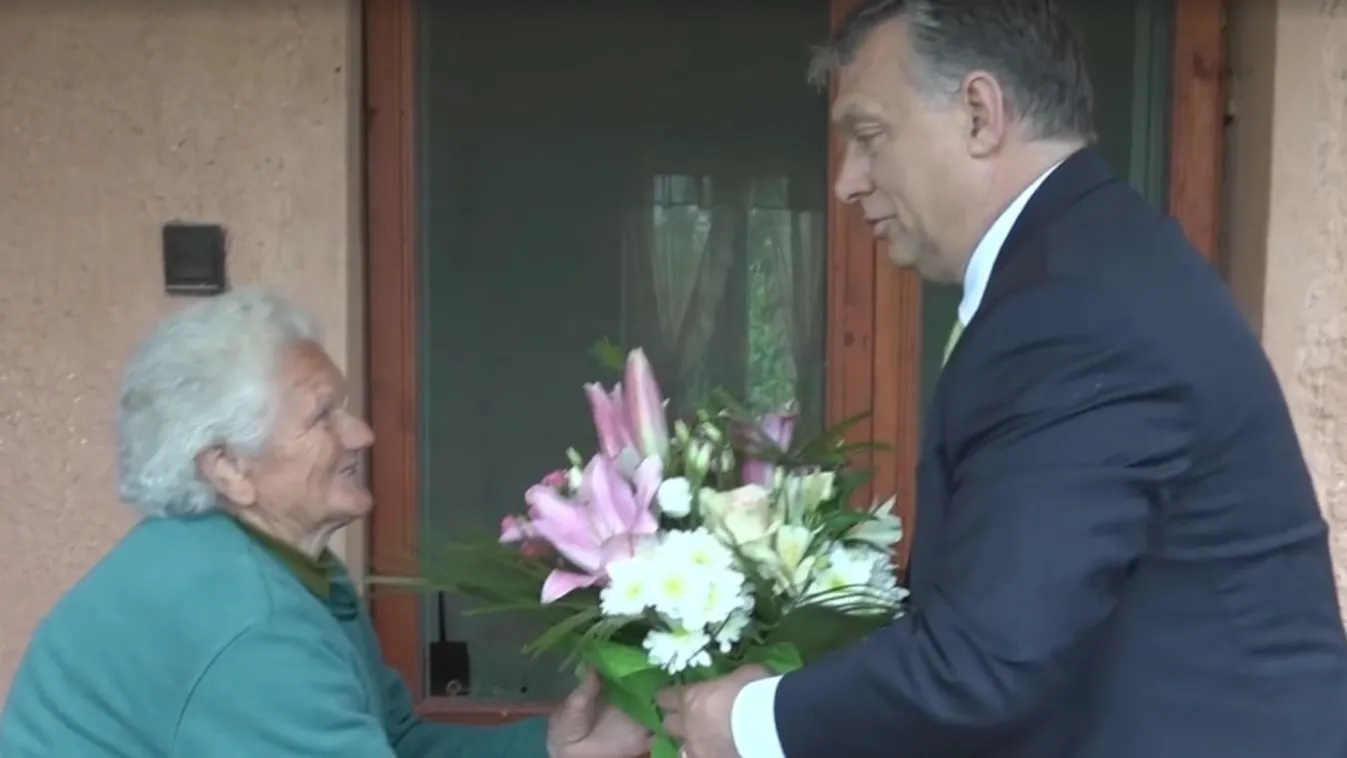 Bözsi néni nem tehet semmiről