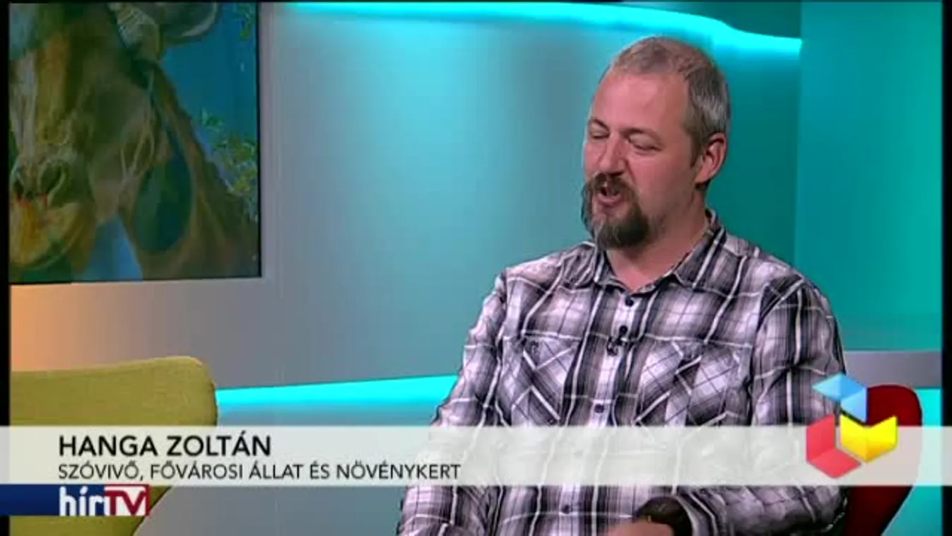 Reggeli járat - Zenés állatkerti esték