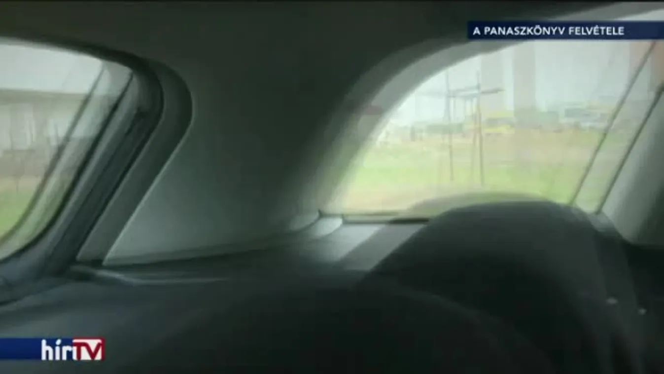 Óriási a haszon az illegális fabizniszen