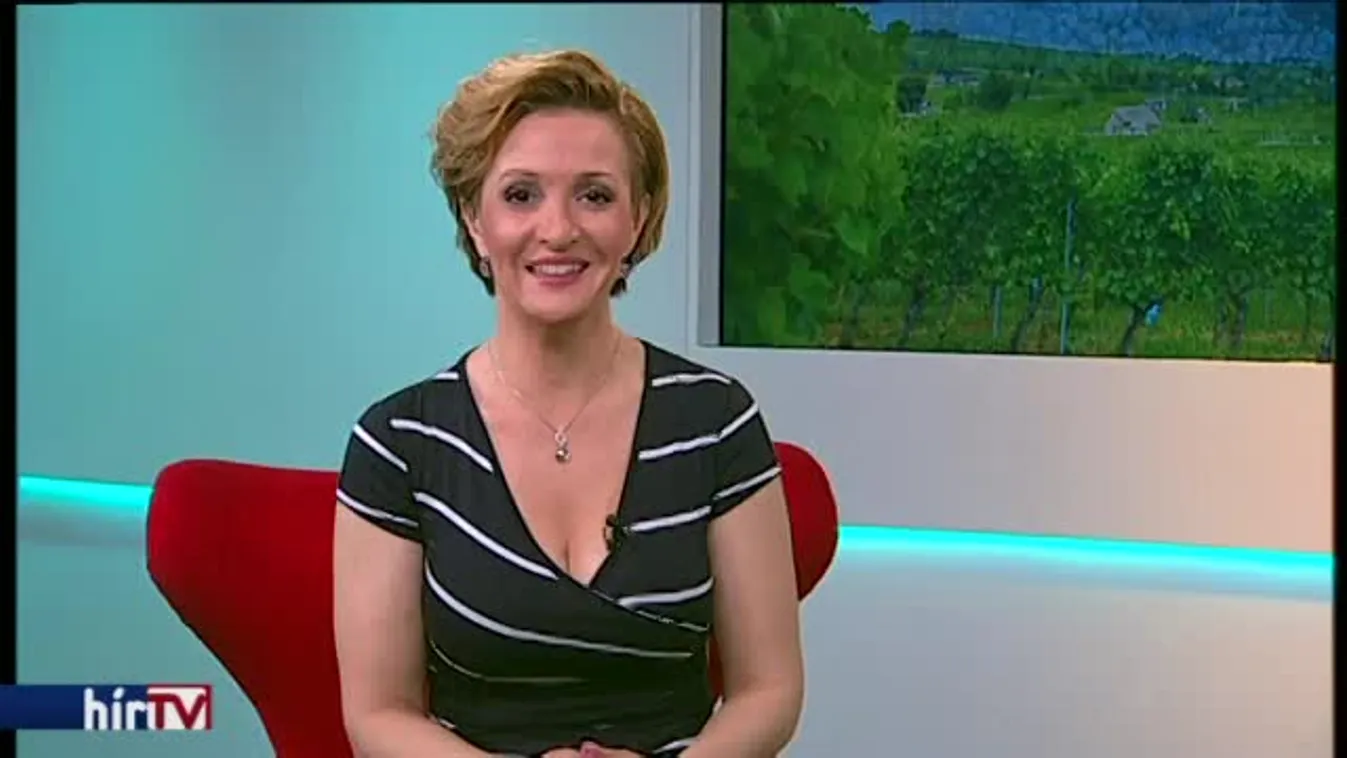 Reggeli járat – Teraszborok, zamatos nedűk