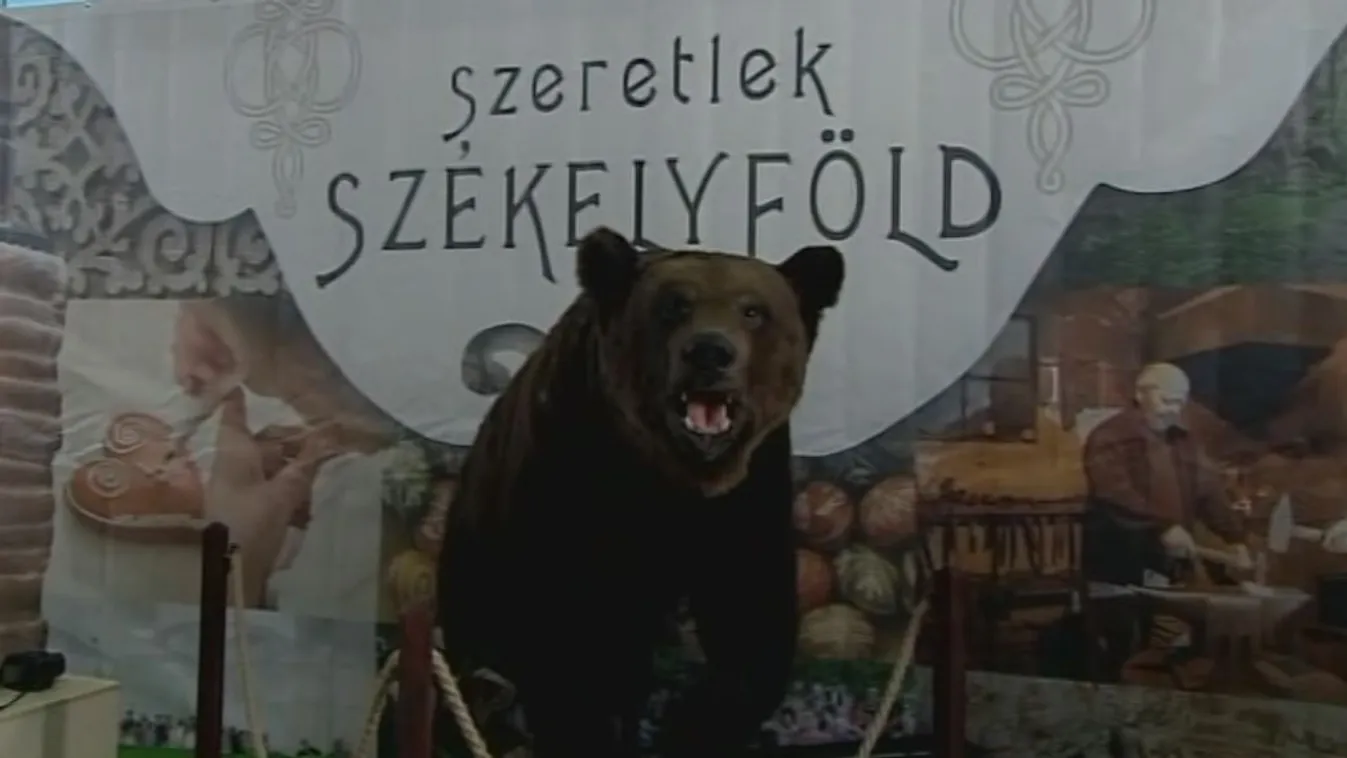 Ellopták a fesztivált? A főszervező tagad