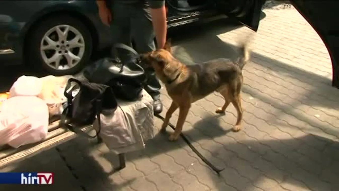 Ellepik a NAV-osok a röszkei határt