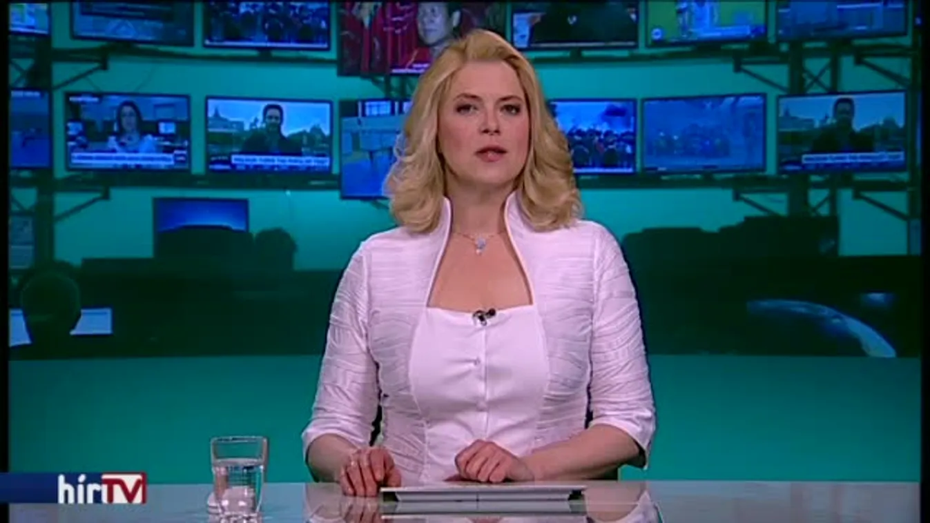 Habonynak nem tetszik, hogy plakátokon van, perel