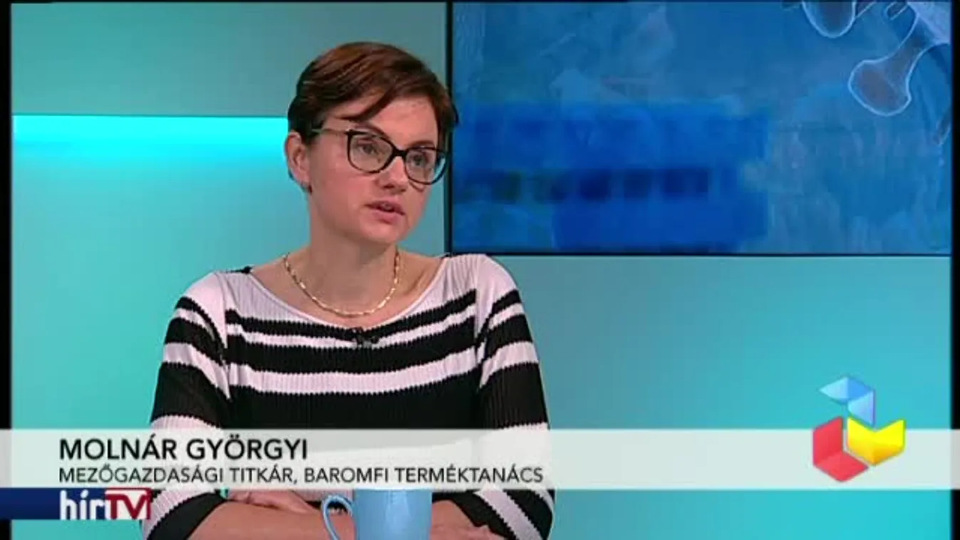 Reggeli járat - Károk