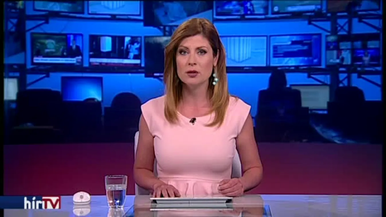 Bemutatta elvi nyilatkozatát a Jobbik