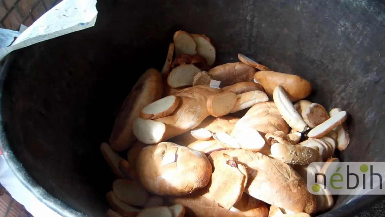 Elborzasztó állapotok uralkodtak a pékségnél