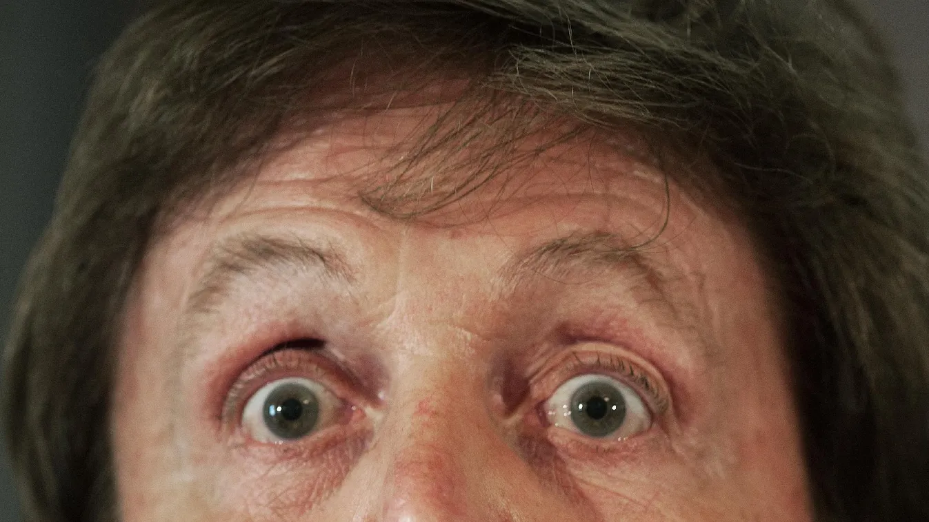 A királyasszony lovagja – Sir Paul 75