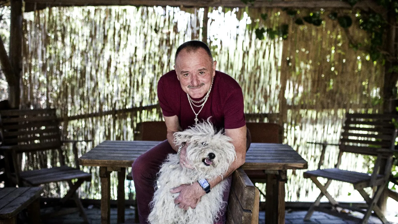 „Az embereknek jogukban áll hülyének lenni!”