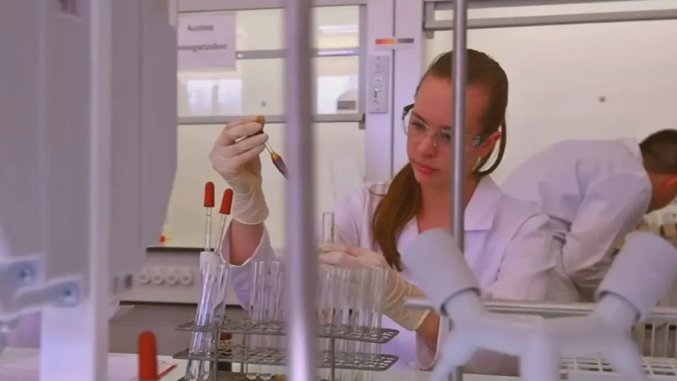 Szakembereket akar képezni a DE