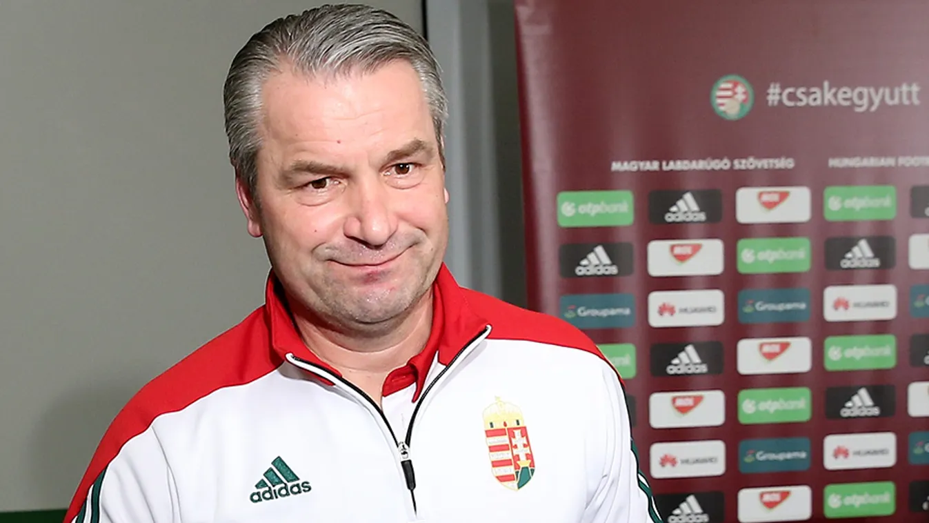 Félmilliárdos gázsit kaphat Storck