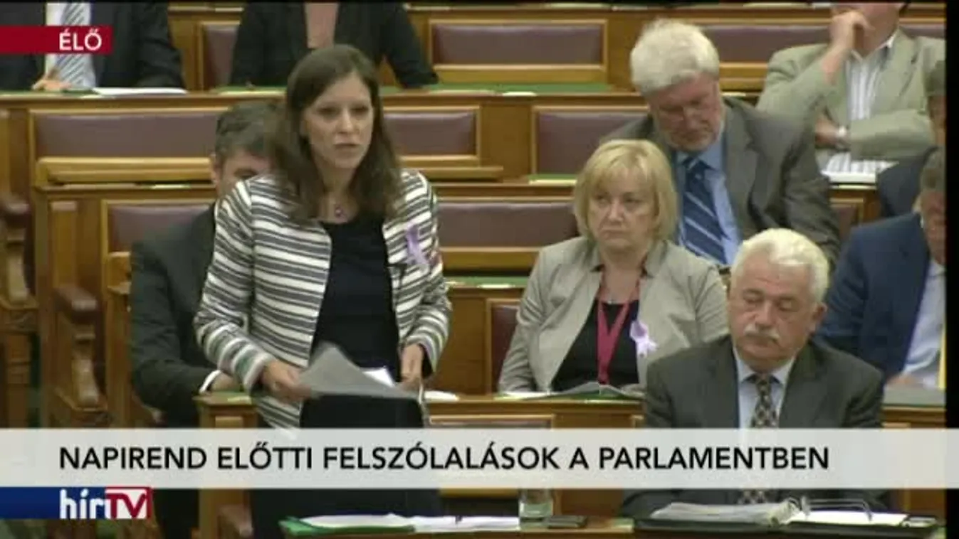 Napirend előtti felszólalások – 2. rész