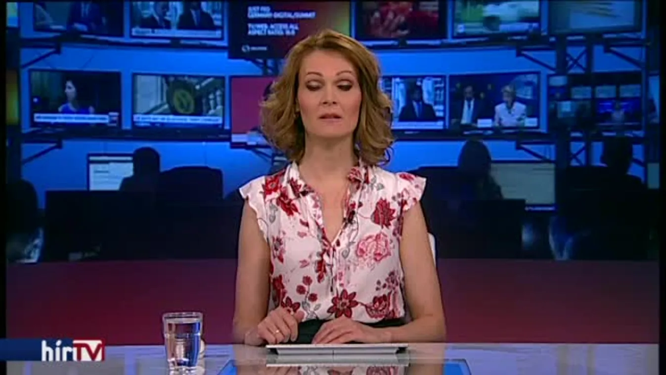 Sólyomék megsemmisítenék a lex CEU-t