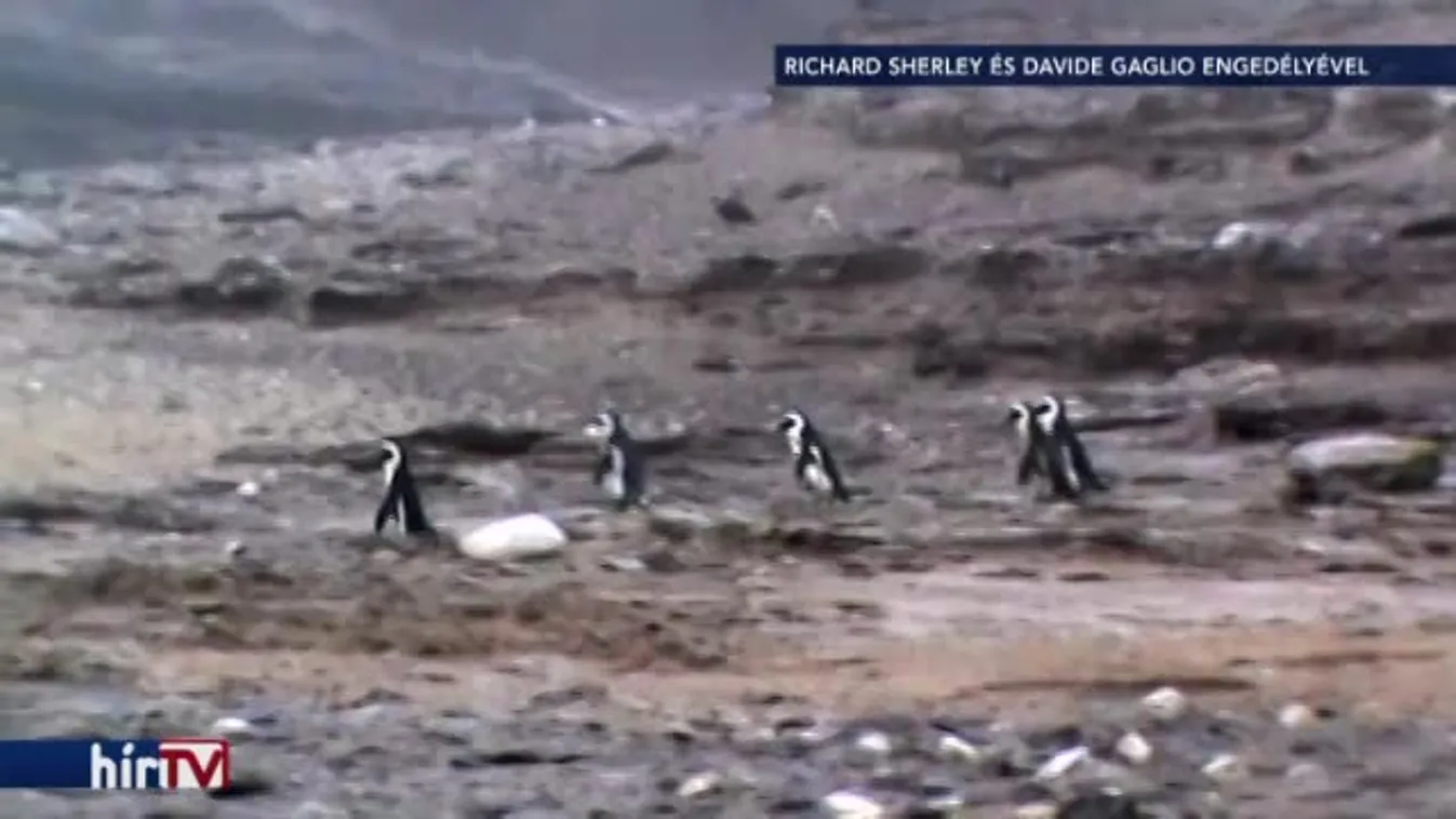 Felfedező – Kreatív