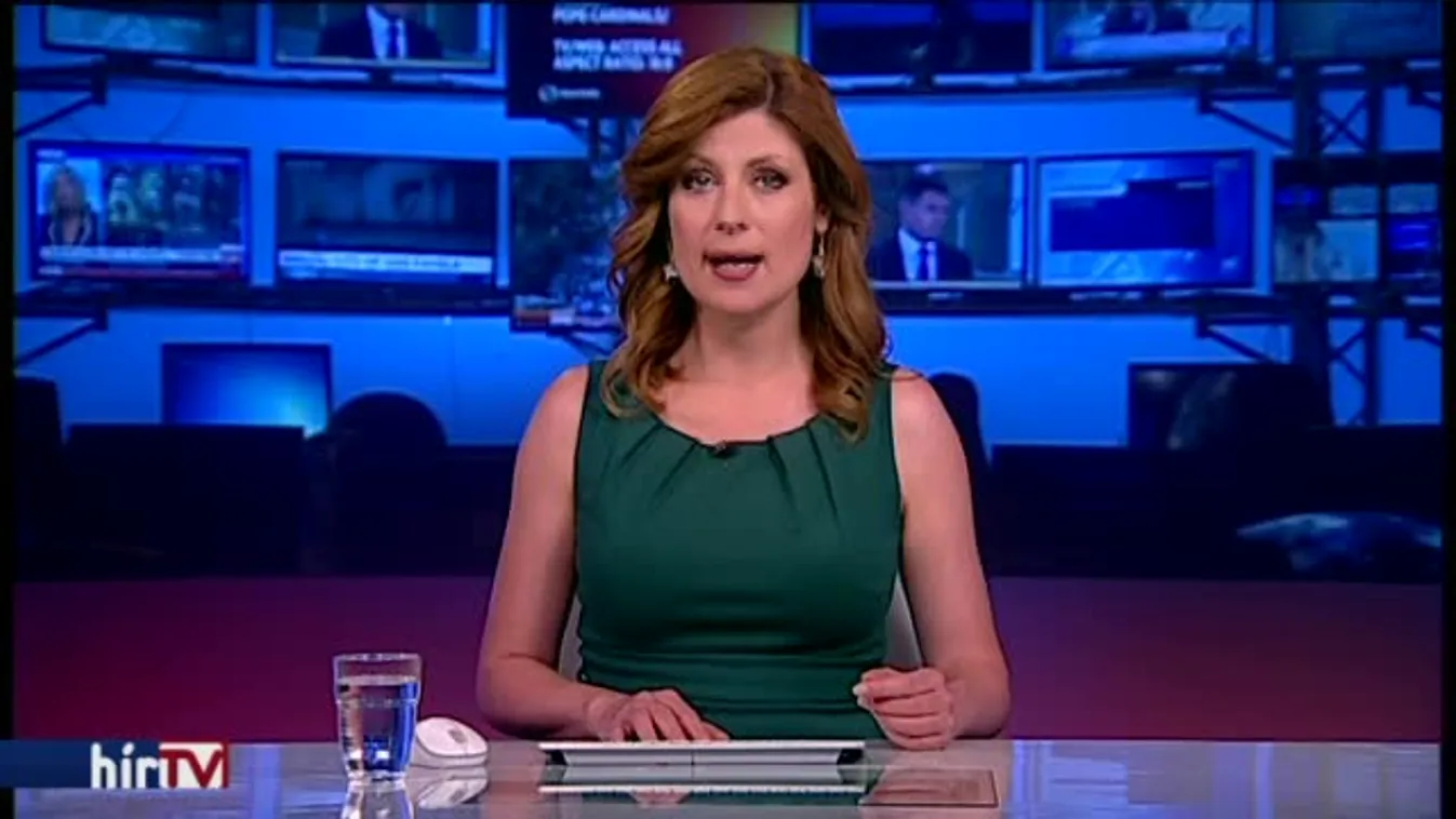 Csónakházak égtek a Fertő tónál