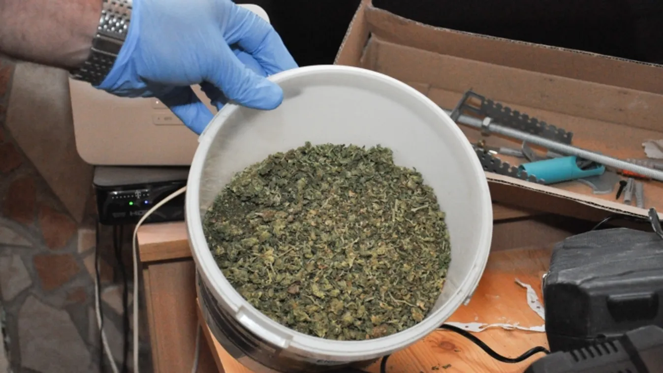 Drogkereskedőket kapcsoltak le a rendőrök