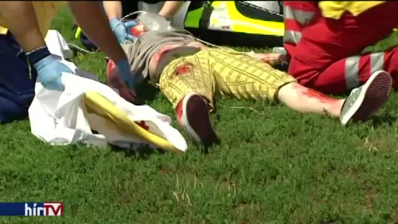 Mentős nap a Ligetben - lesz utánpótlás