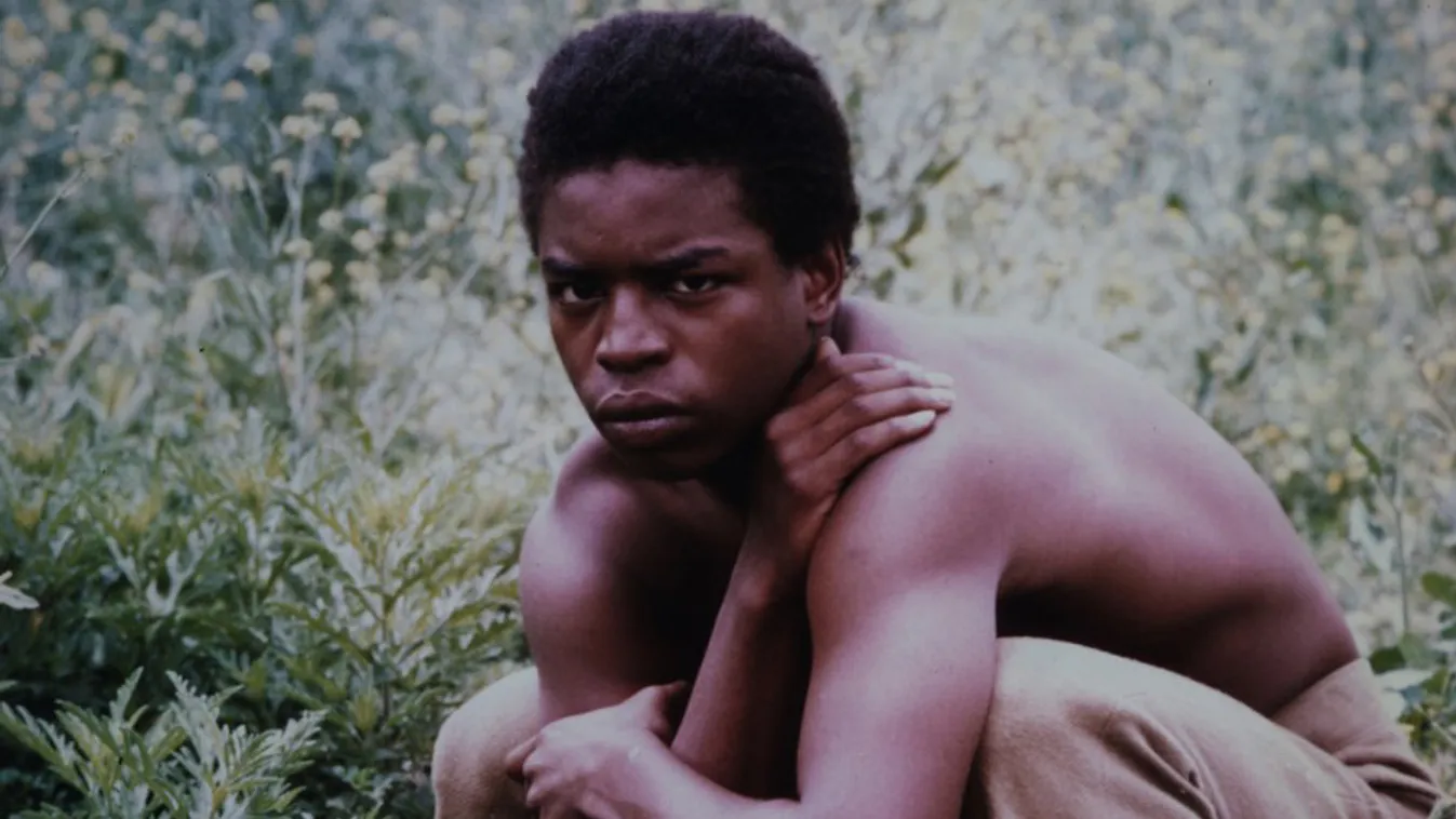 Feketeség és populizmus