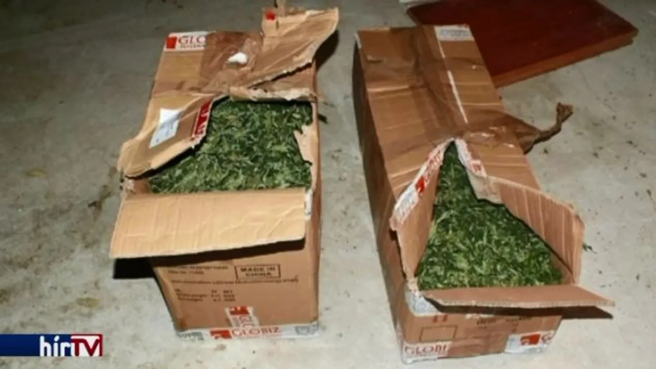 Tyúkólban rejtegette a drogból szerzett pénzt