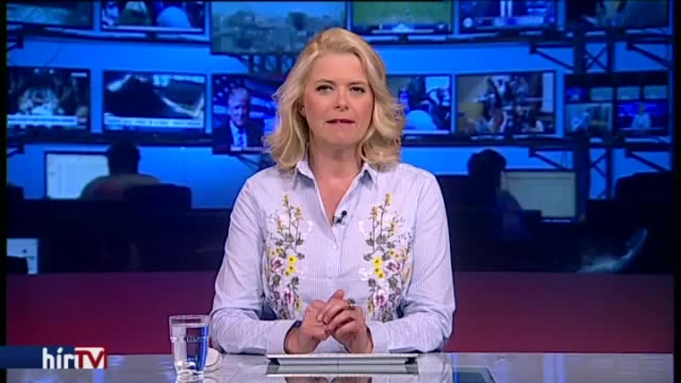 Tésztagyár került Mészáros Lőrinc közelébe