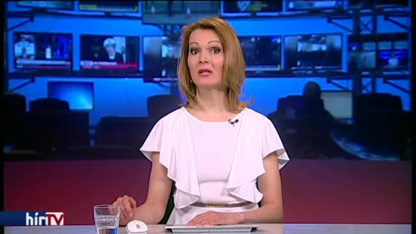 Hatalmas öngól lehet a KDNP-s Hollik érvelése