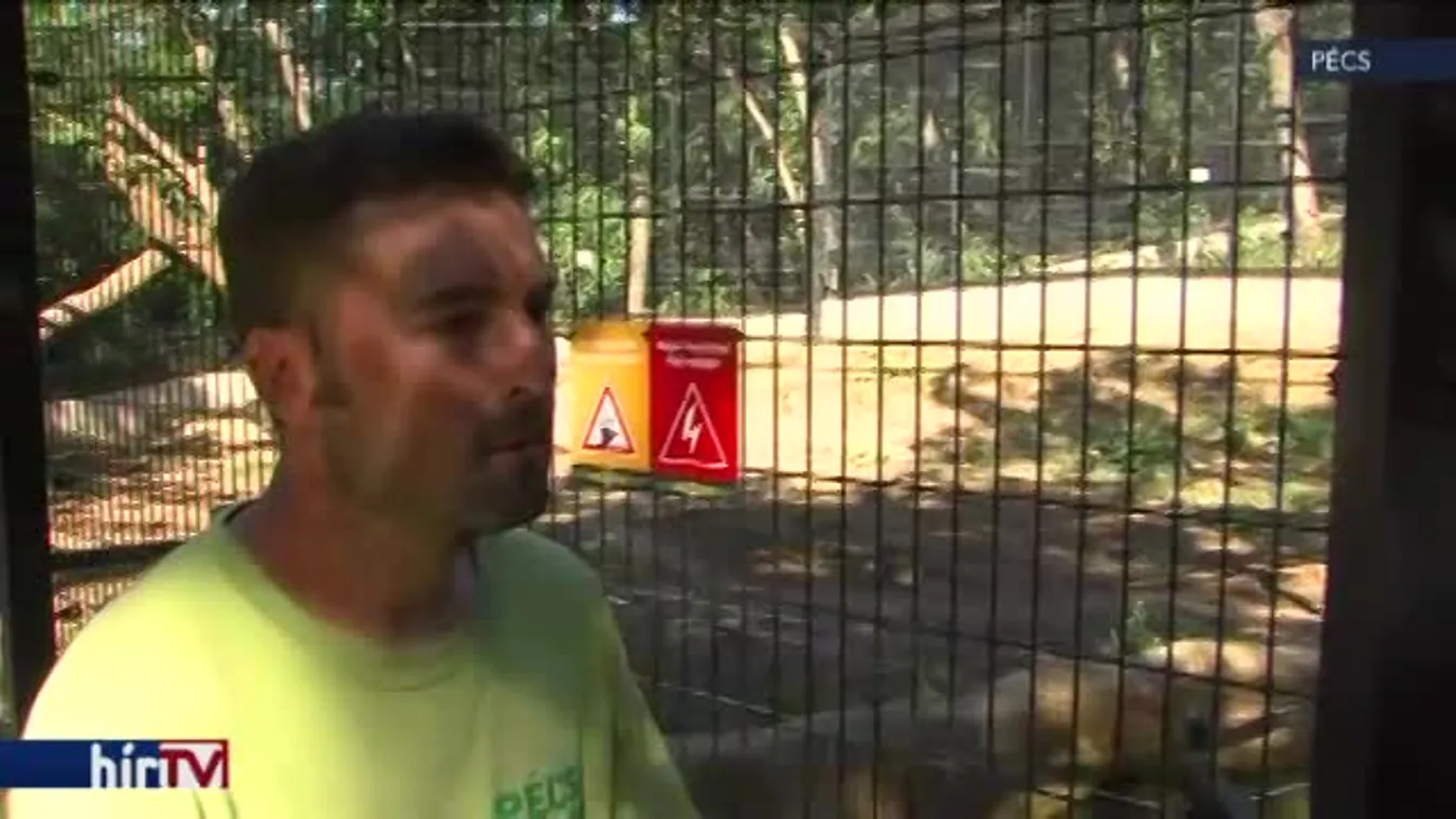 Reggeli járat – Hűteni kell az állatokat is a kánikulában