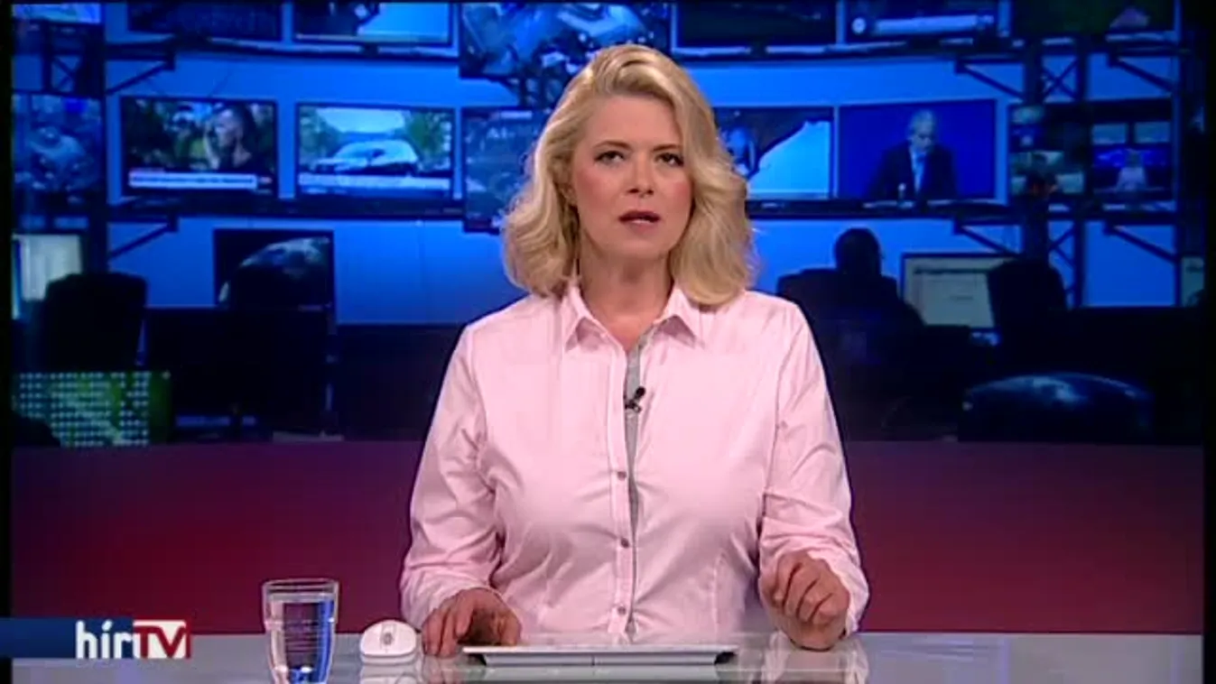 Molnár: A Fidesz nyomása miatt vették őrizetbe Czeglédyt