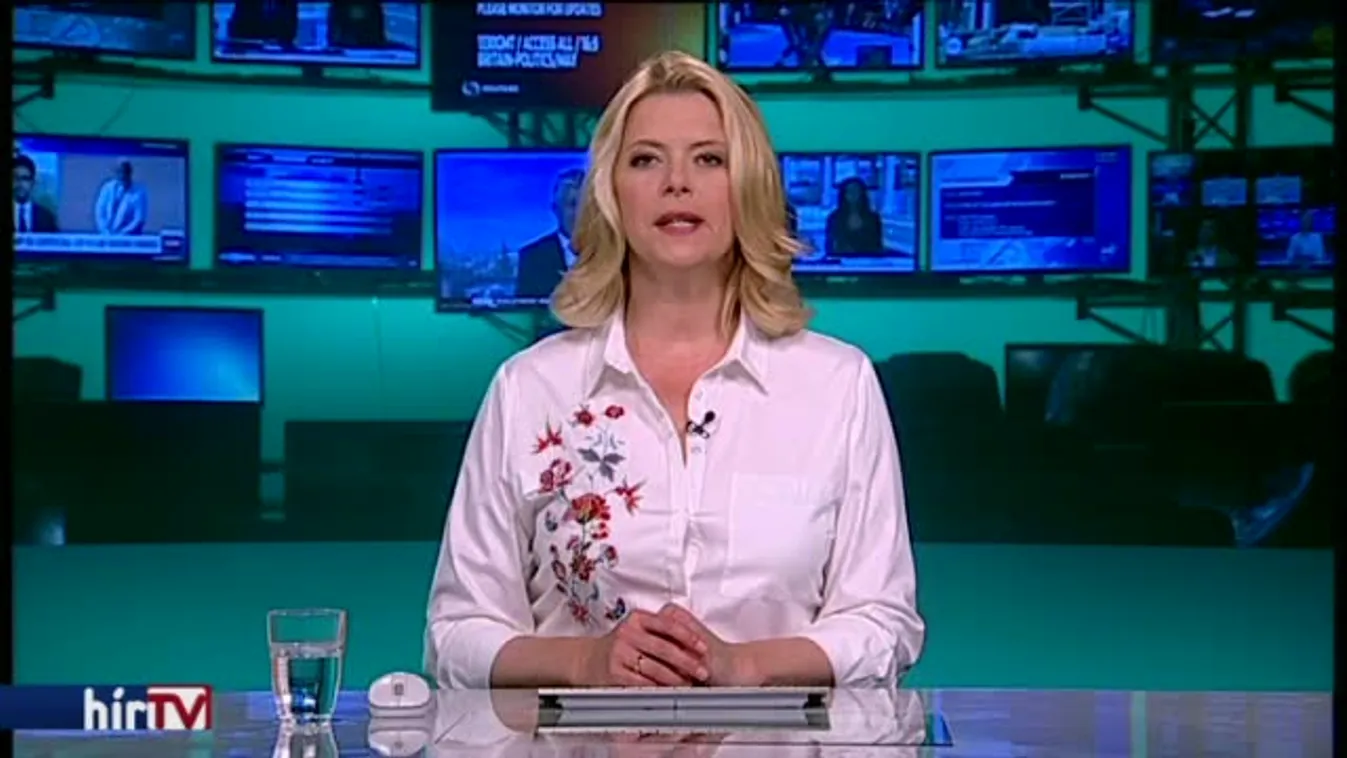 Bagatellizálja a tömeges elvándorlást a Fidelitas-elnök