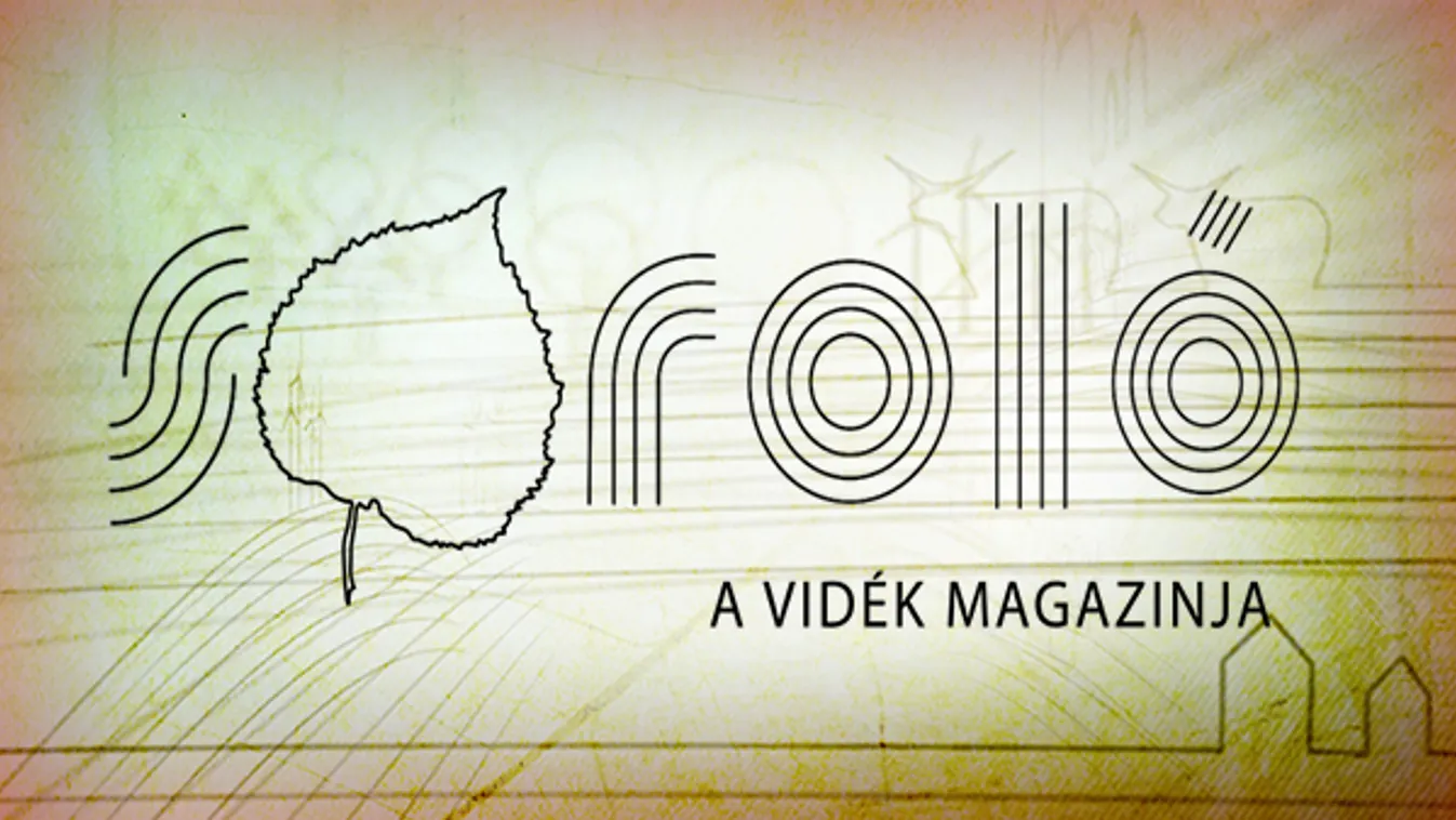 Fogynak a sertések – Soroló