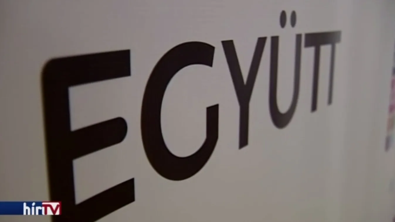 Politikai nyomás miatt rúghatták ki az Együtt alelnökét