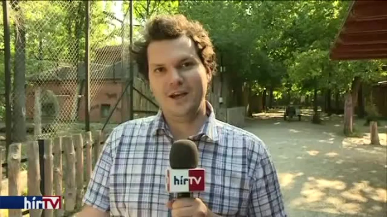 Reggeli járat - Vadaspark