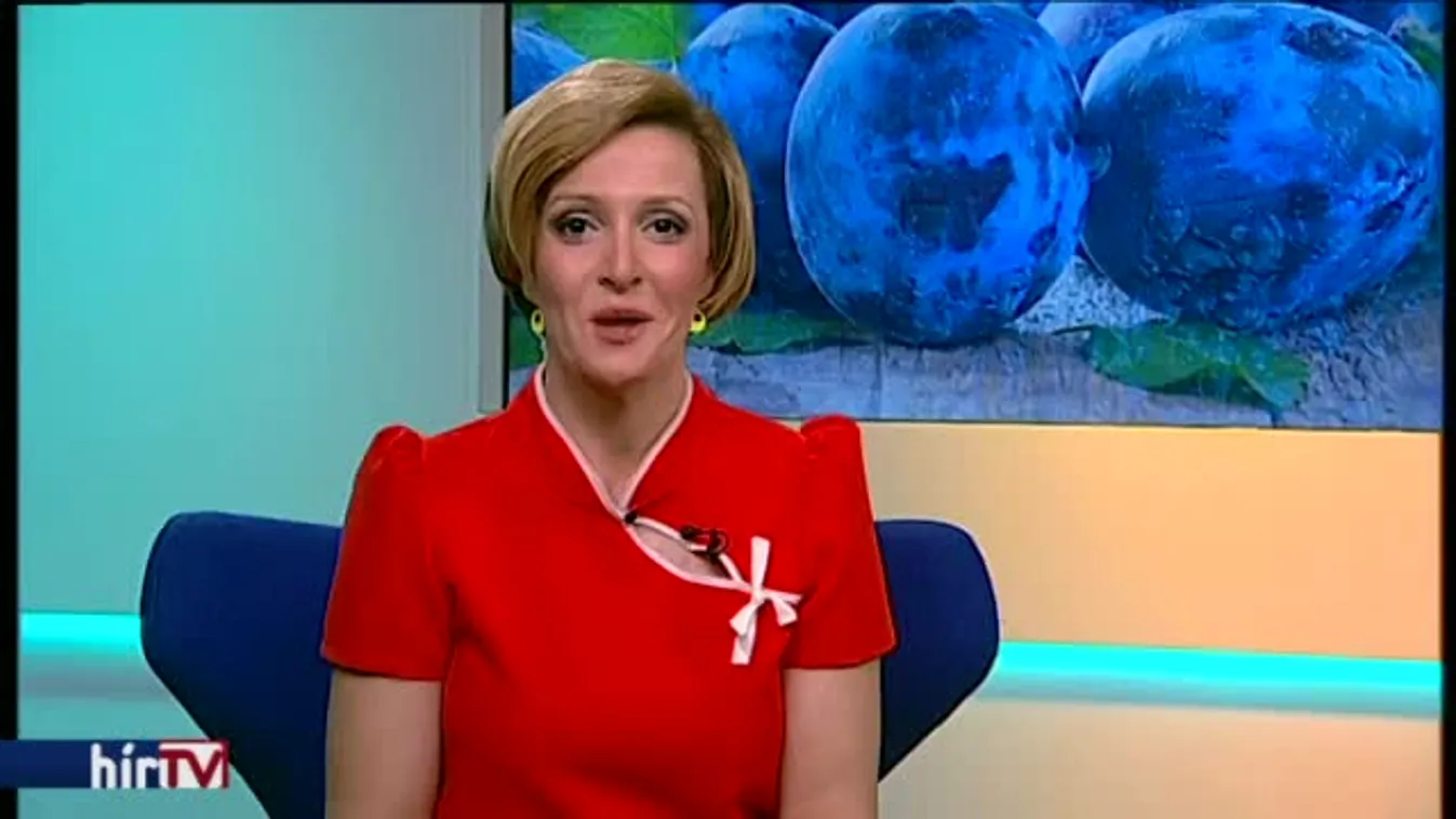 Reggeli járat - Vigasság