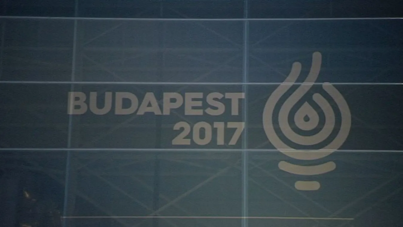 Bizottsággal vizsgálnák ki a vizes vb drágulását