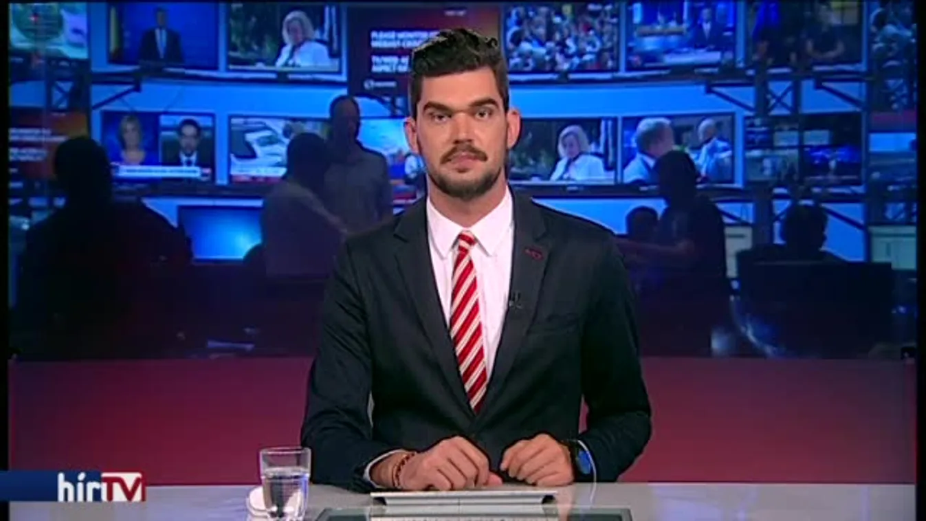 Szelényi: Nyomást gyakoroltak rám