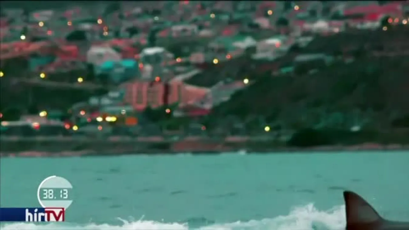 Felfedező – A krokodil csókja