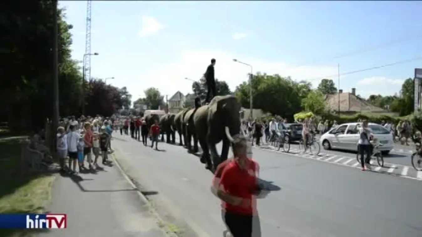 Elefántok pancsoltak a Balaton partján