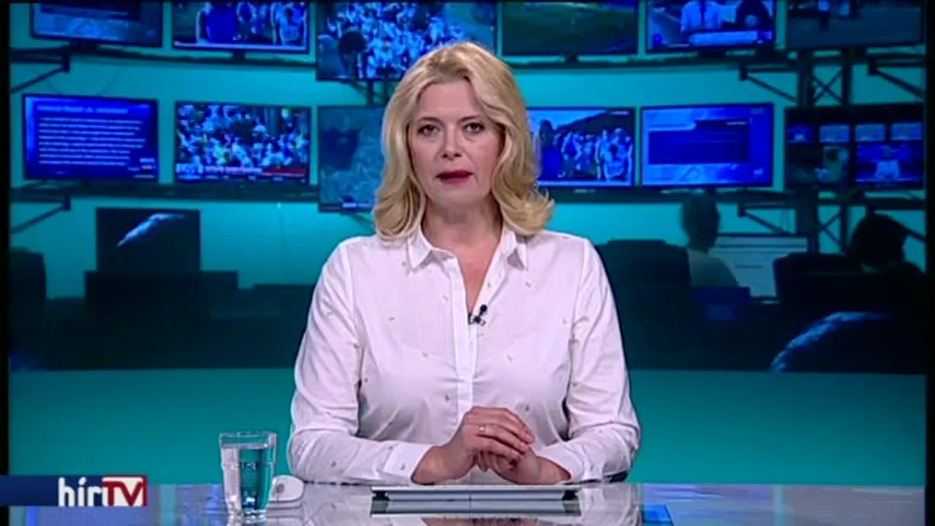 Megdöbbentették a német államminisztert a Soros-plakátok