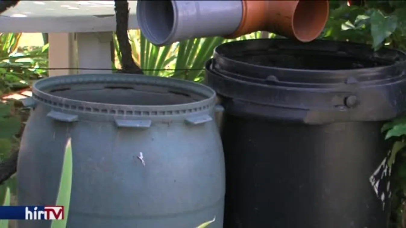 Newsroom – Zika-vírus